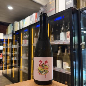 あべ ウメ 500ml